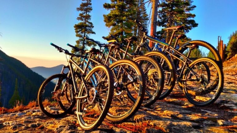 affordable mountain bike options